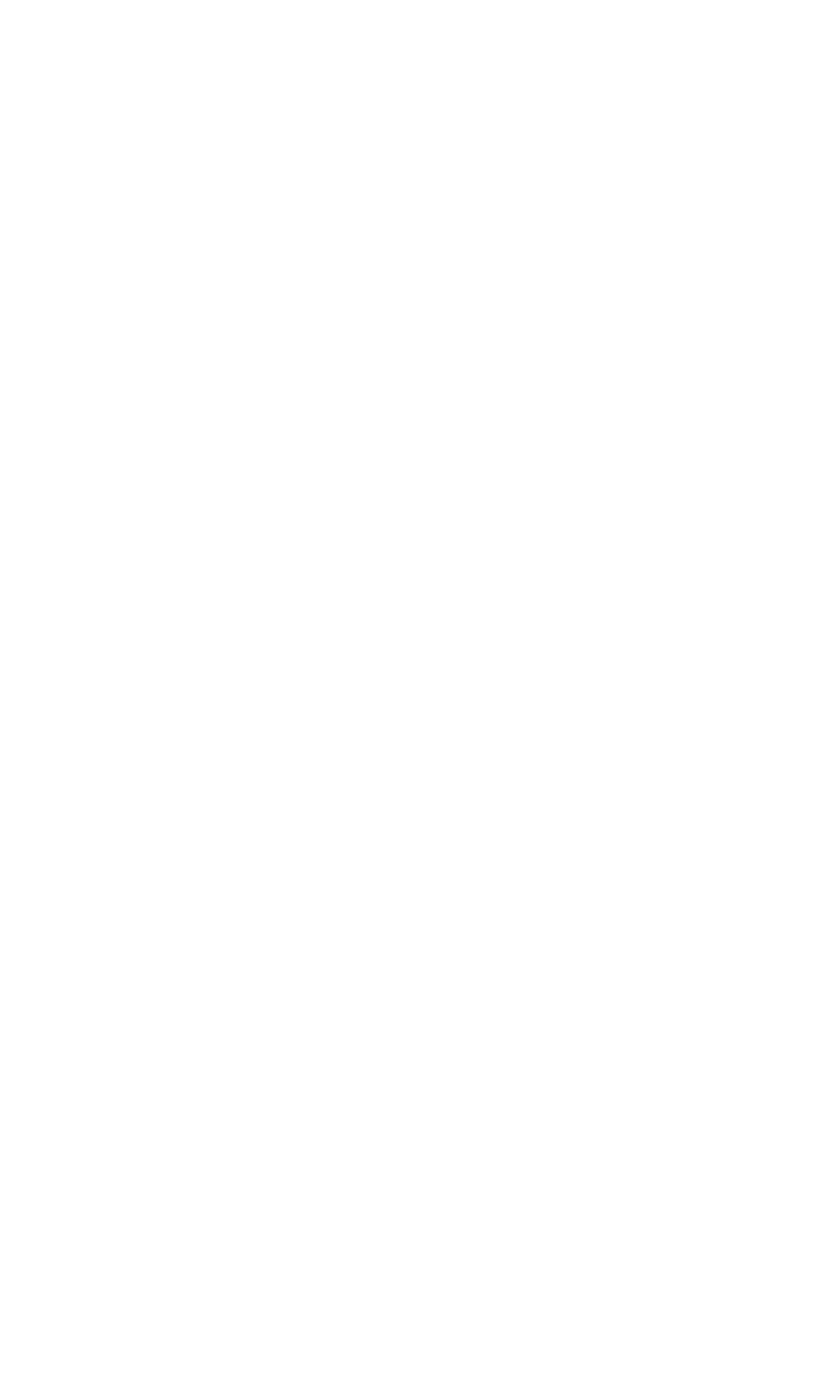 NOI Treviso - APS
